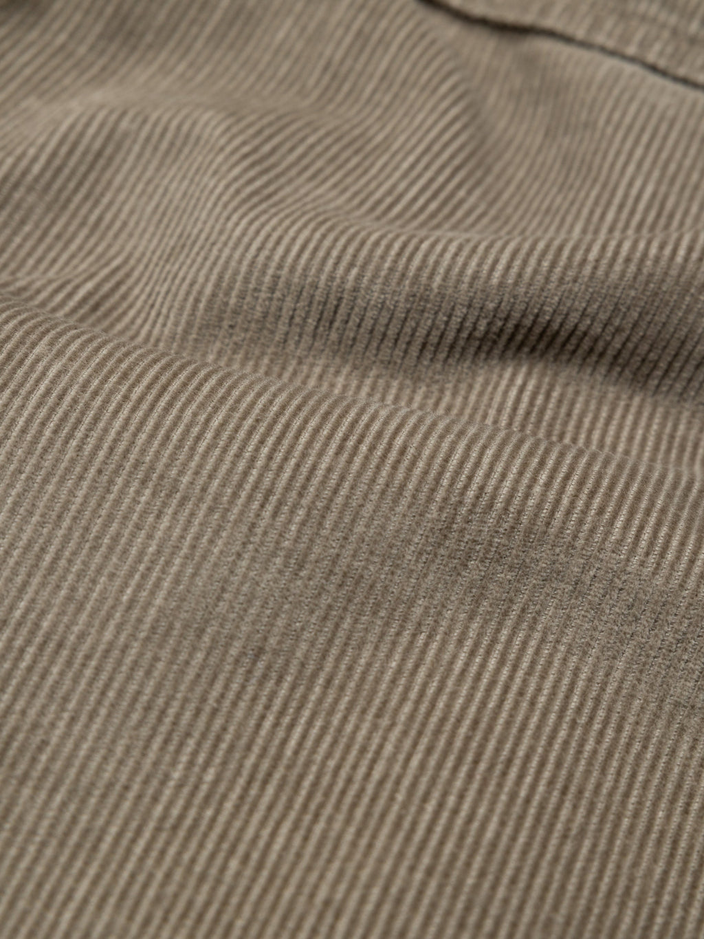 Women's Studio Light Cord Trouser